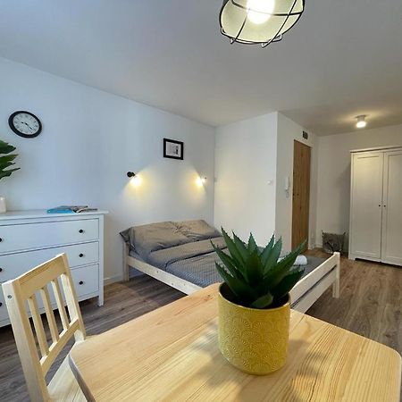 Niron Apartament Ludowa بيوا المظهر الخارجي الصورة